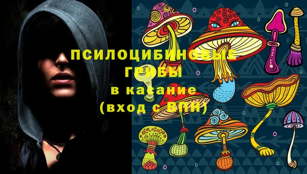 соль курить ск Гусь-Хрустальный
