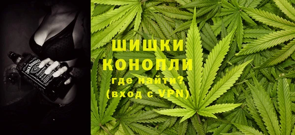 ALPHA PVP Гусев