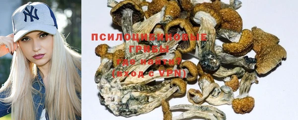 соль курить ск Гусь-Хрустальный