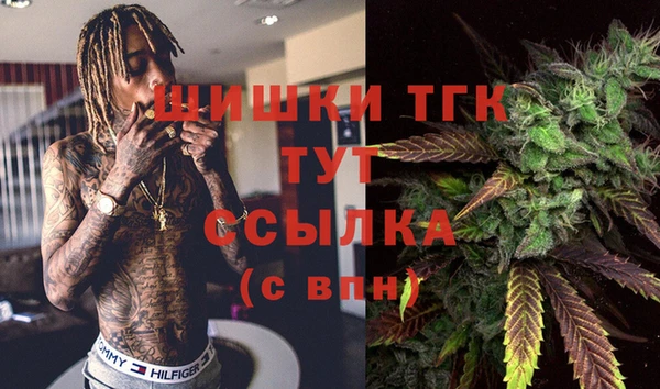 соль курить ск Гусь-Хрустальный
